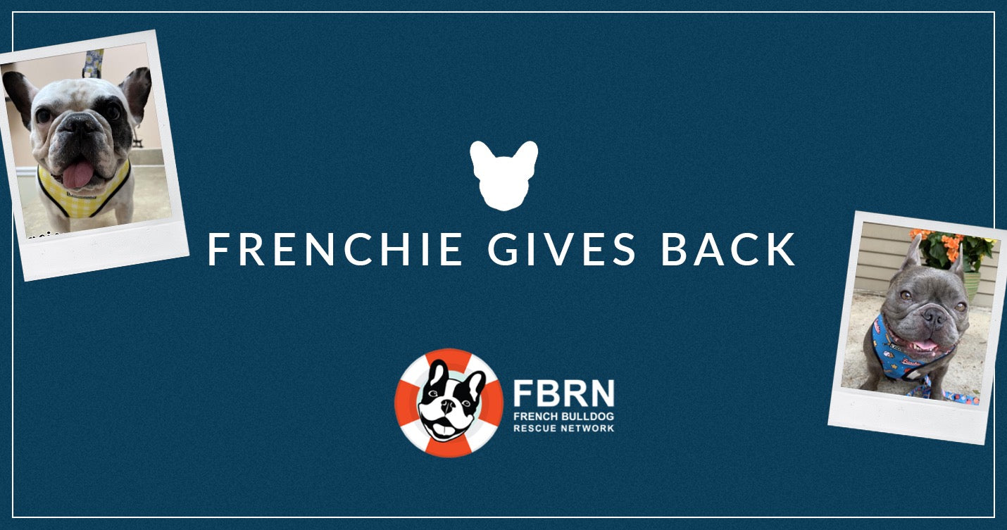 French Bulldog Rescue Network - Last chance to purchase some pawsome toys  for your pups and support FBRN! My Dog Toy will be donating 20% of proceeds  to FBRN through tomorrow, 8/31!