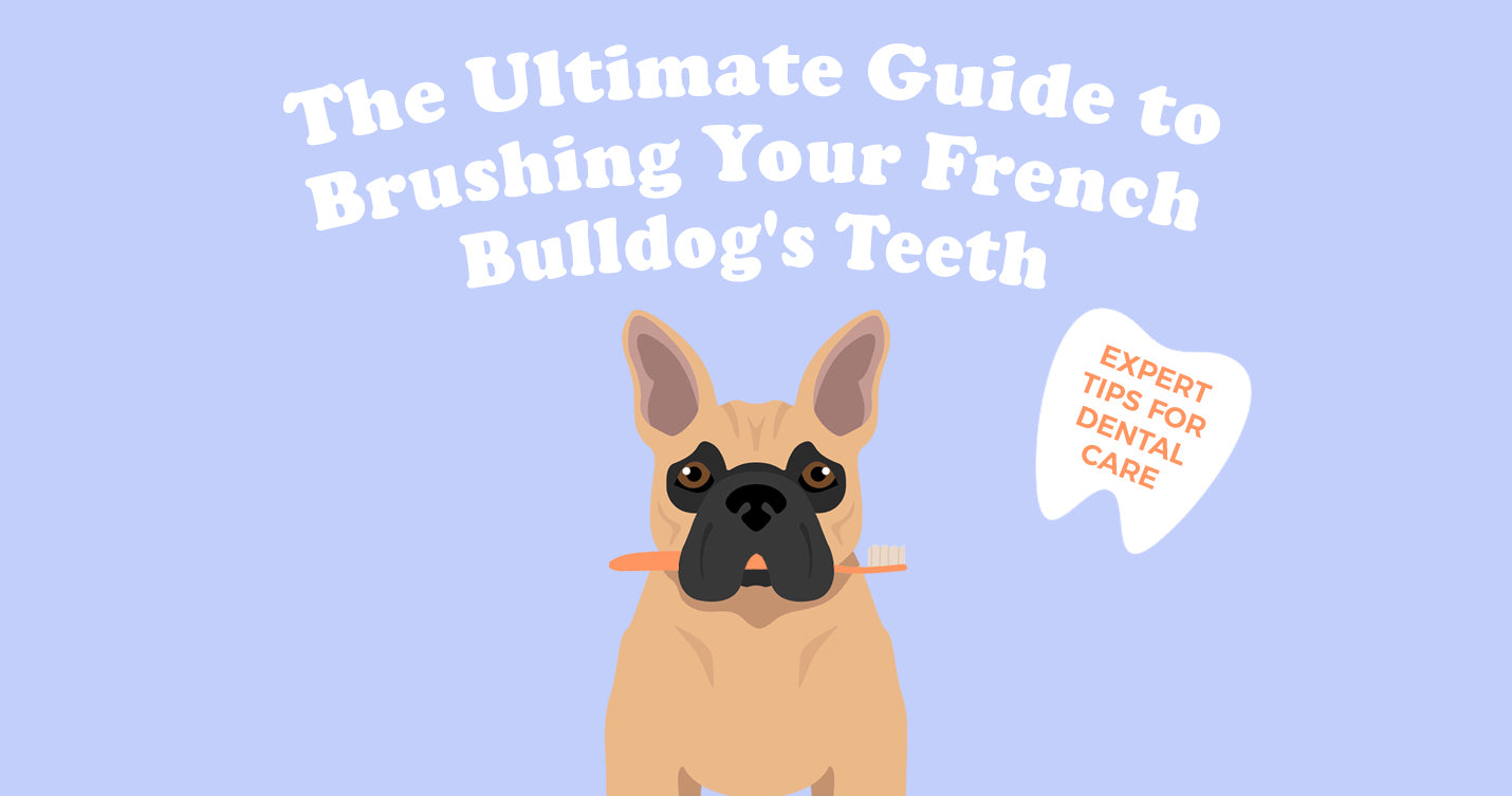 How to Clean Dog Teeth Without Brushing: Ultimate Guide