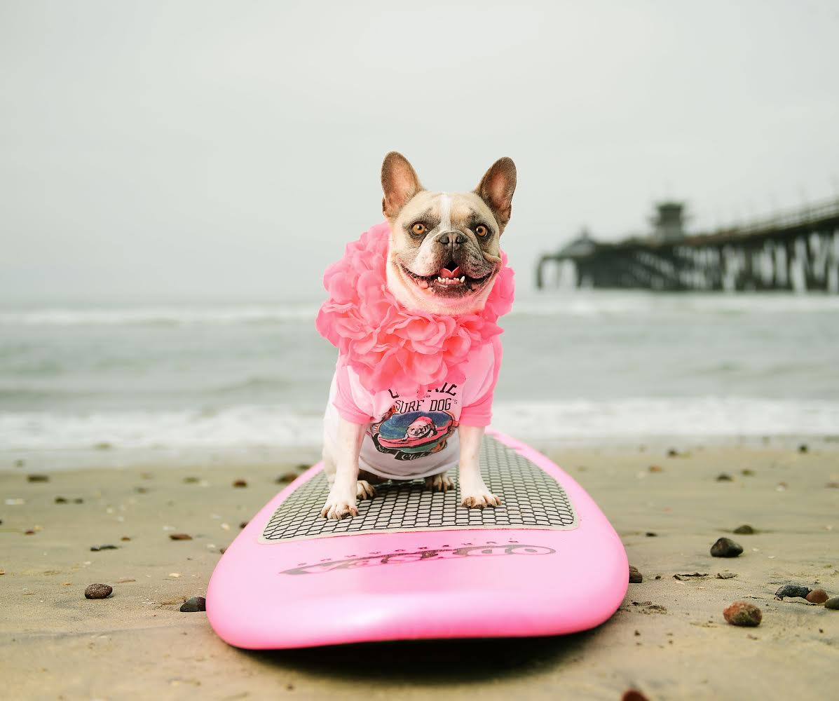 Frenchie Gives Back: Surfing Into Summer with Cherie and FBRN!