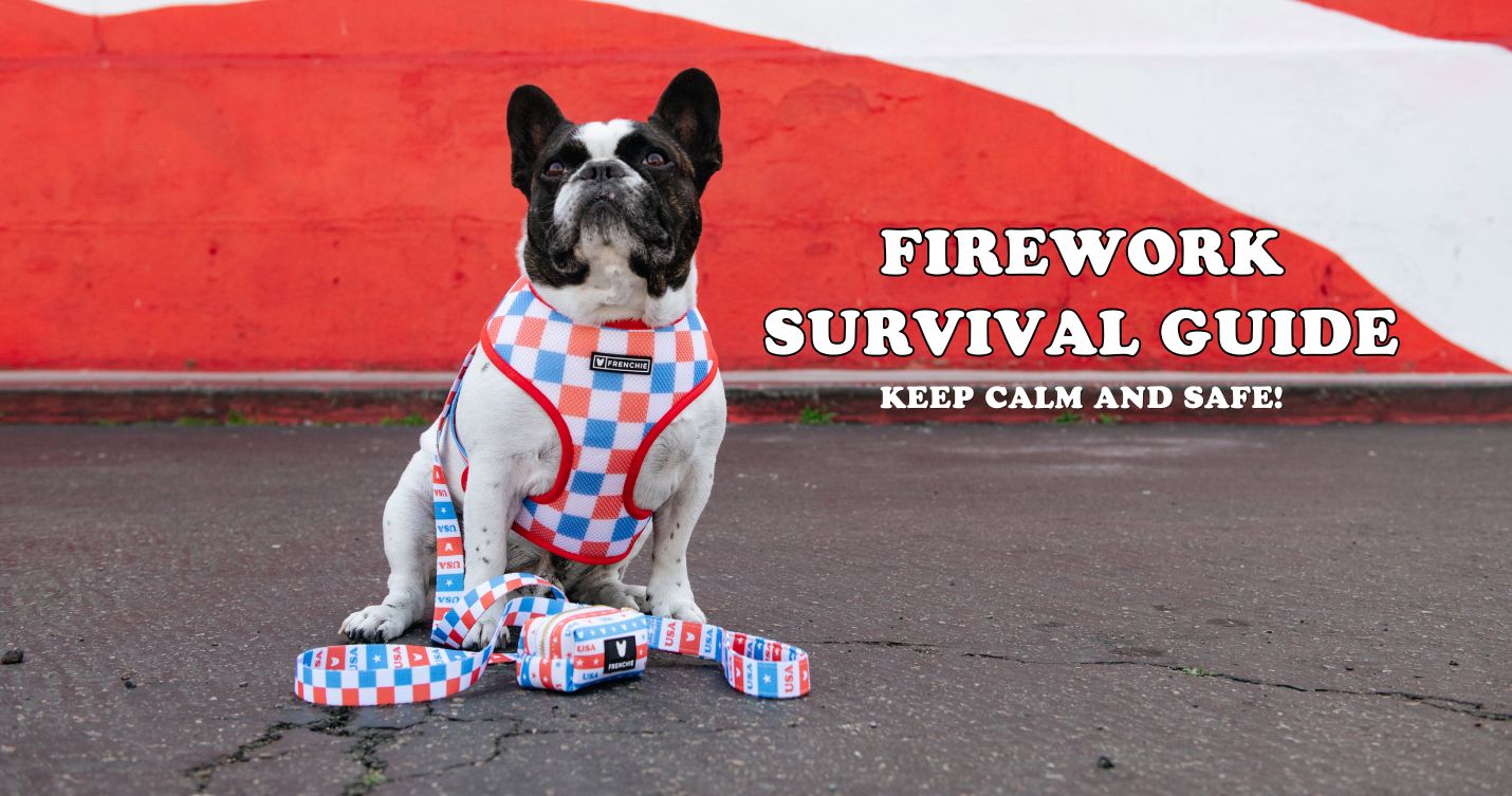Firework Survival Guide