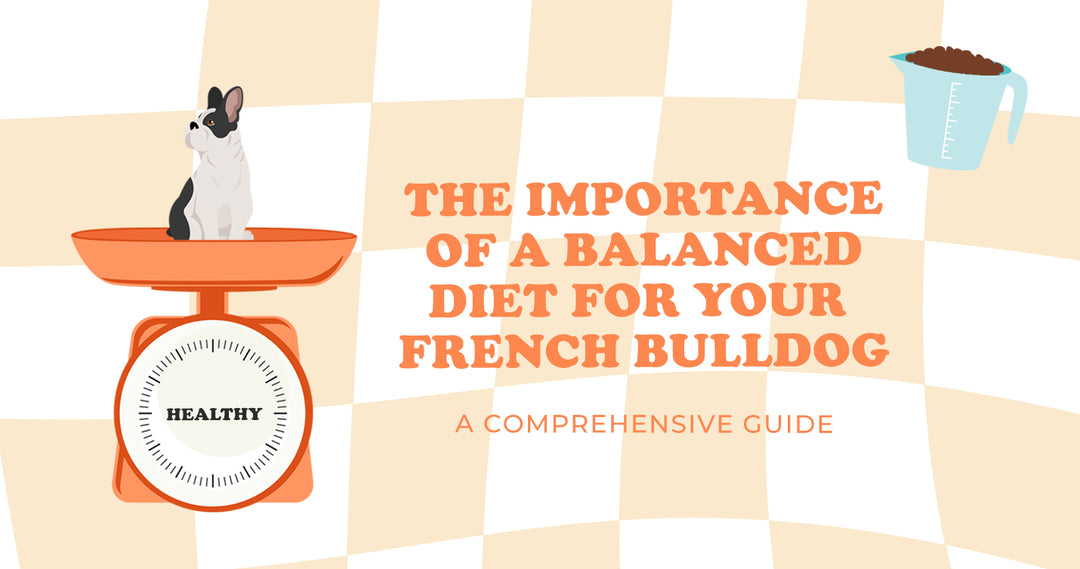 The Importance of a Balanced Diet for Your French Bulldog: A Comprehensive Guide