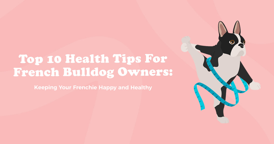 French Bulldog Teeth Problems: Vital Tips for Healthy Smiles