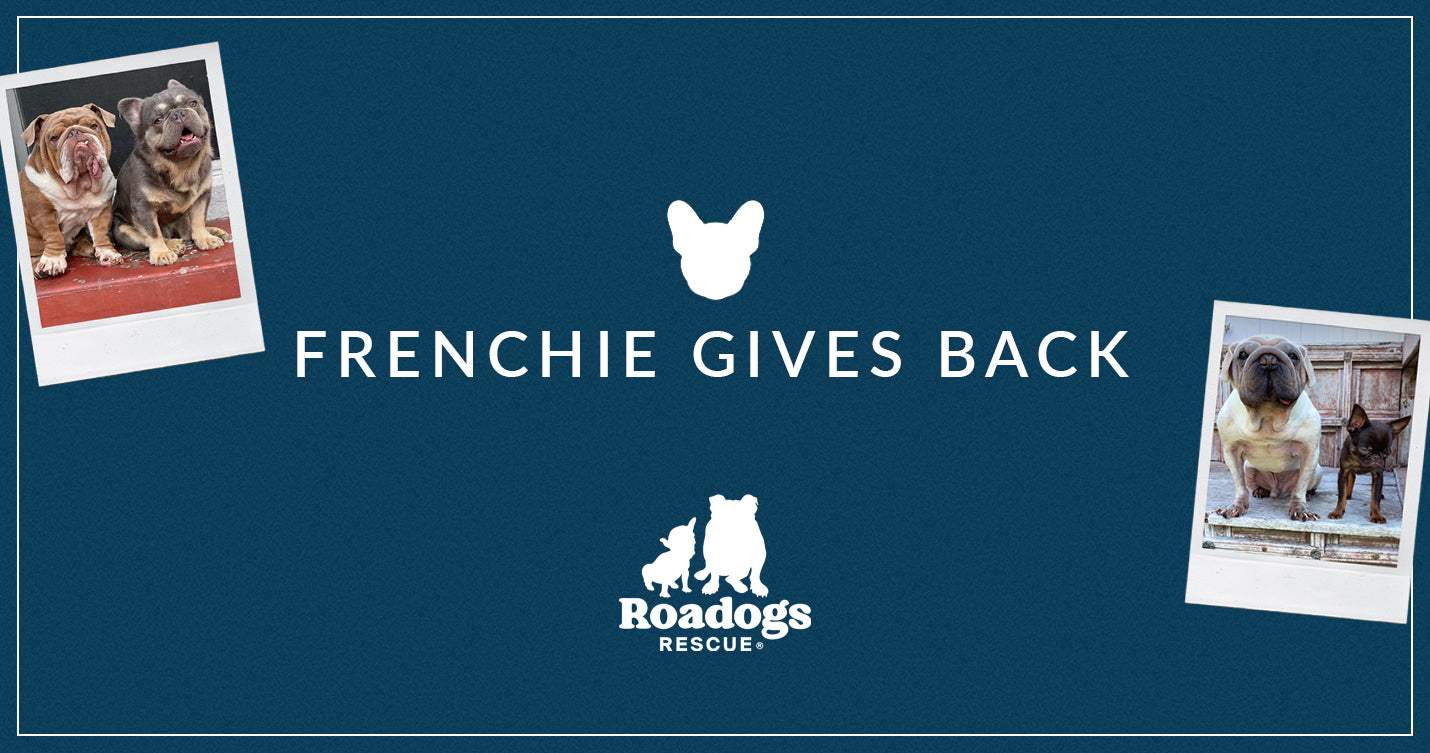 Frenchie Gives Back: Road Dogs