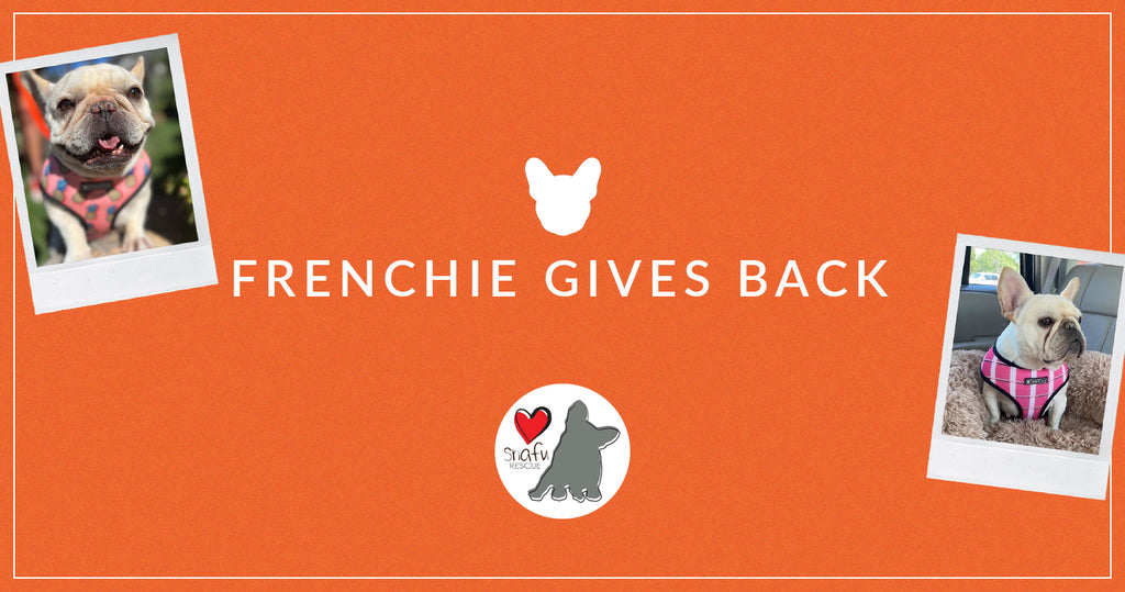 Frenchie Gives Back: Short Noses and Friends United Rescue