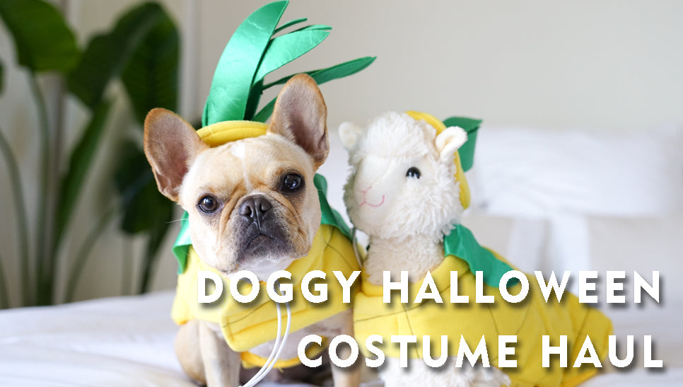 Doggy Halloween Costume Haul