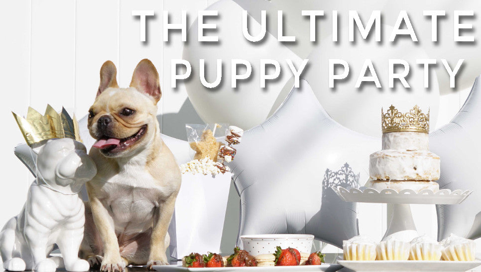 The Ultimate Puppy Party