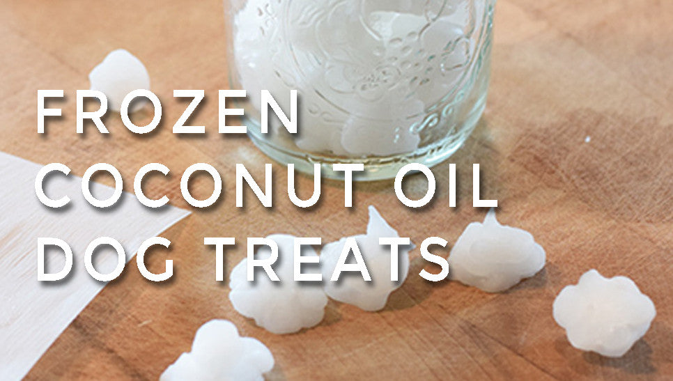 Frozen Coconut Oil Dog Treats!