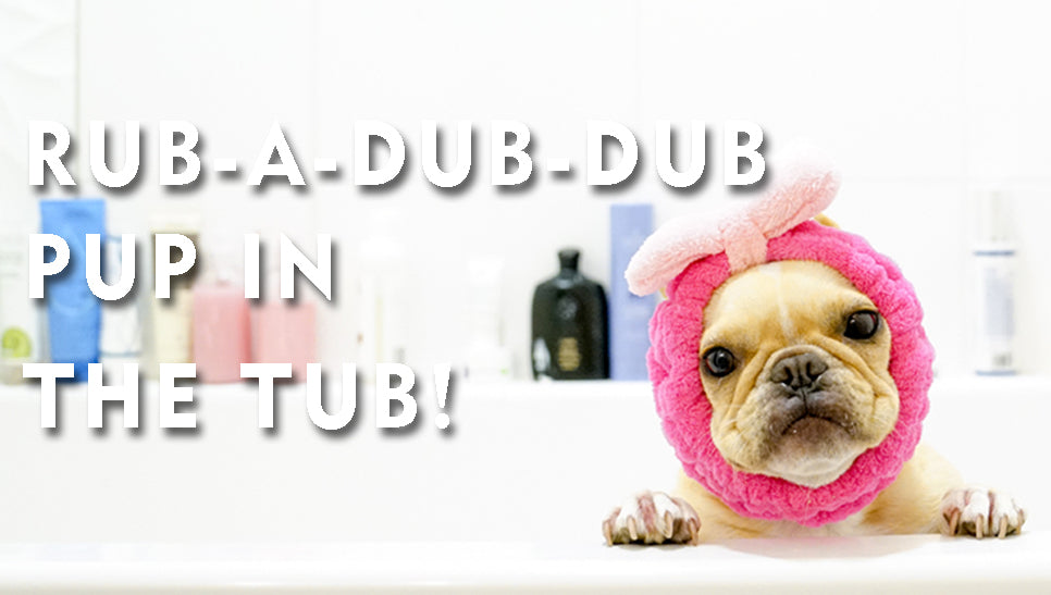 Rub-A-Dub-Dub, Pup in the Tub!
