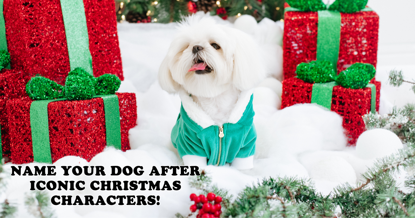 Top 10 Christmas Character-Inspired Names for Your Dog