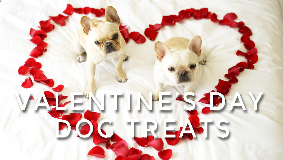 Easy Valentine's Day Dog Treats