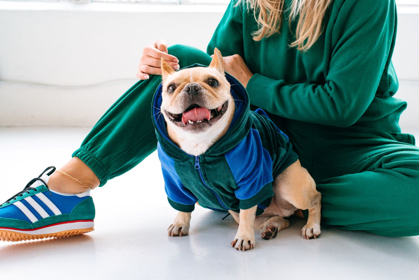 From Brrr to Happy Barks: What to Look for in Doggy Winter Gear