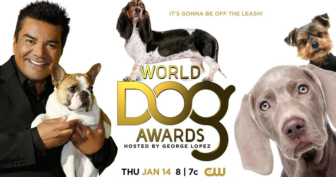 The World Dog Awards