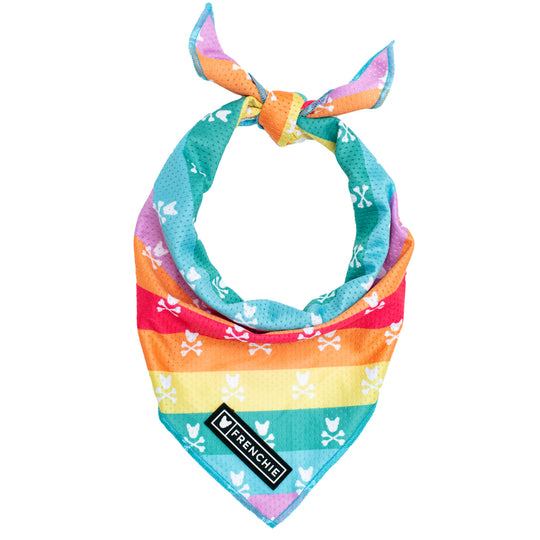 Frenchie Cooling Bandana - Rainbow Bad to the Bone