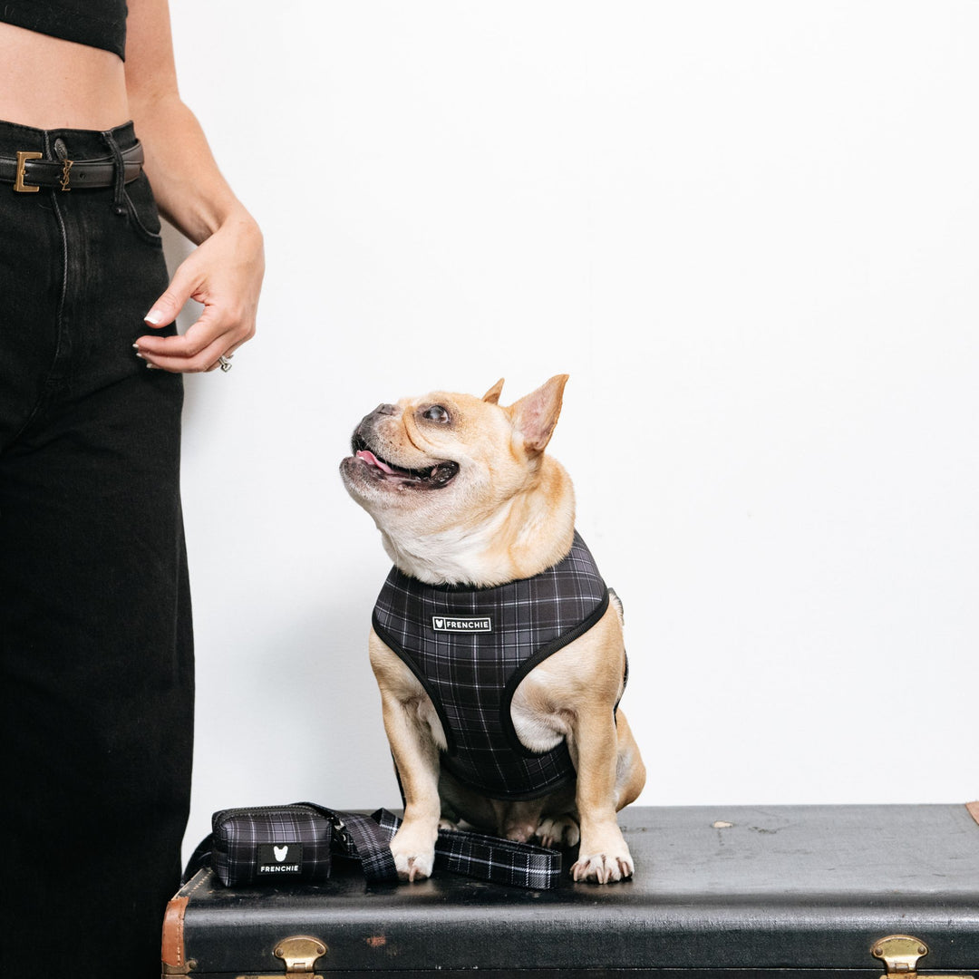 Frenchie Duo Reversible Harness - Black Plaid