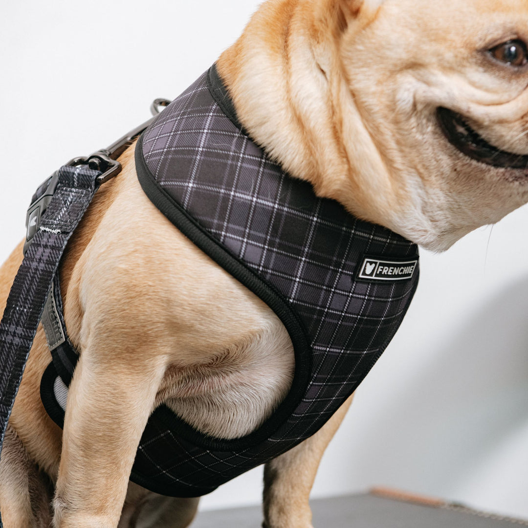 Frenchie Duo Reversible Harness - Black Plaid