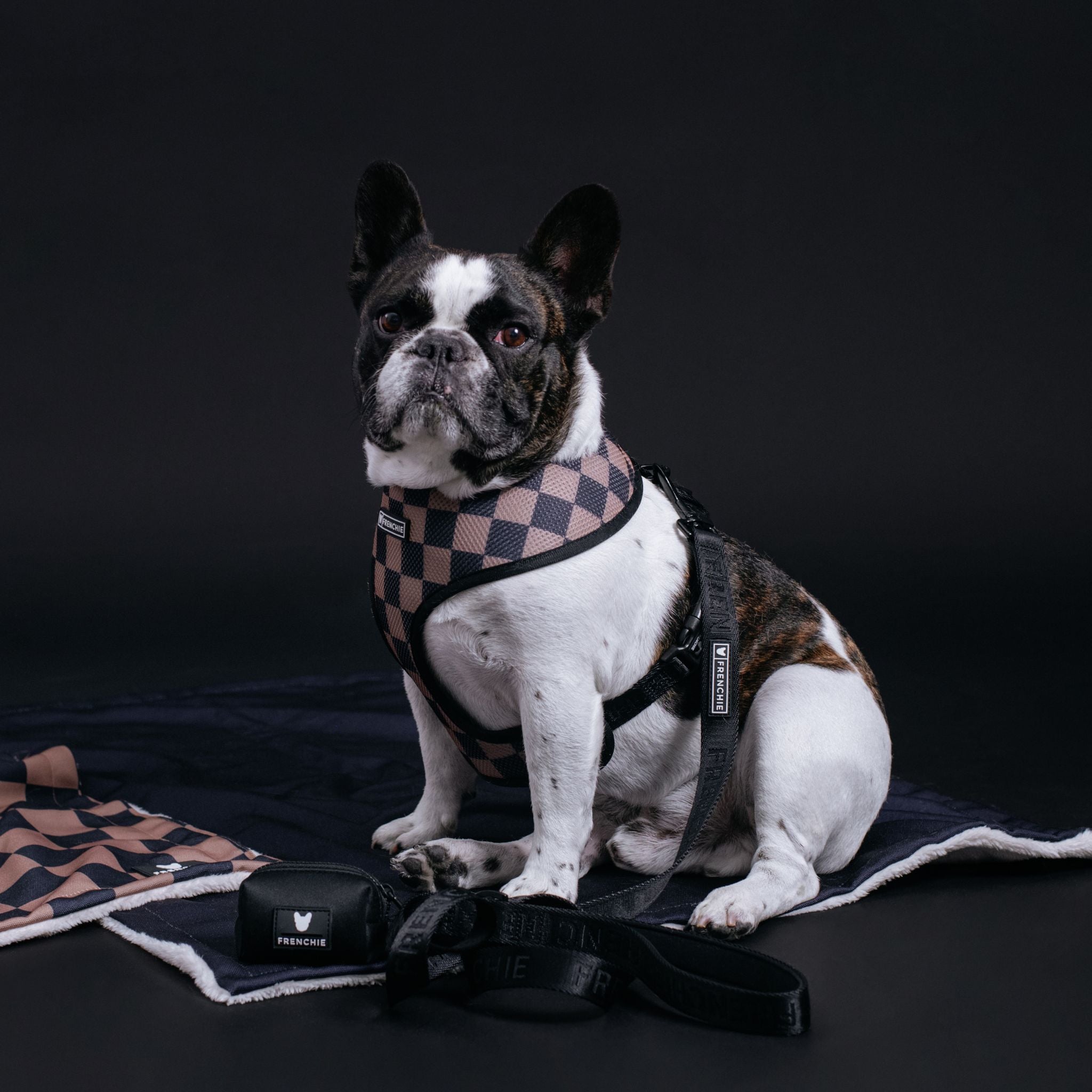 Frenchie accessories shop