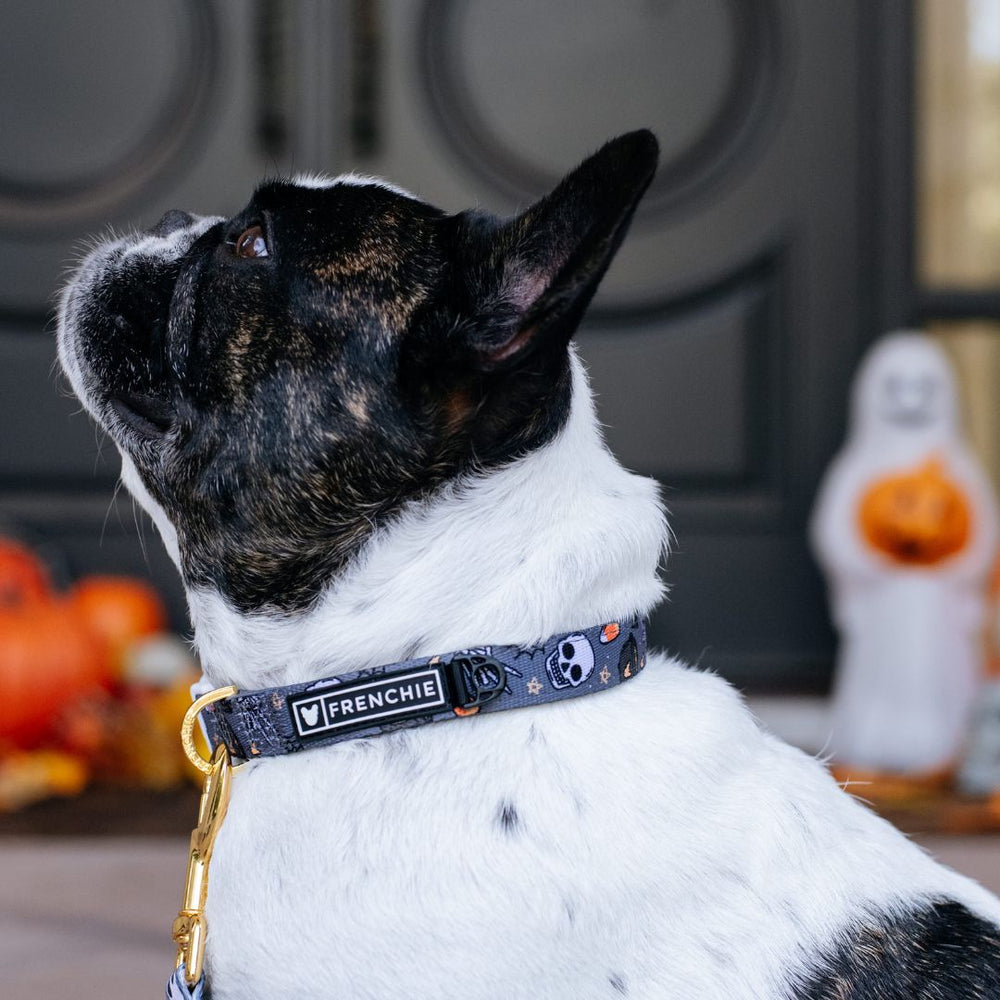 Frenchie Comfort Collar - Black Magic