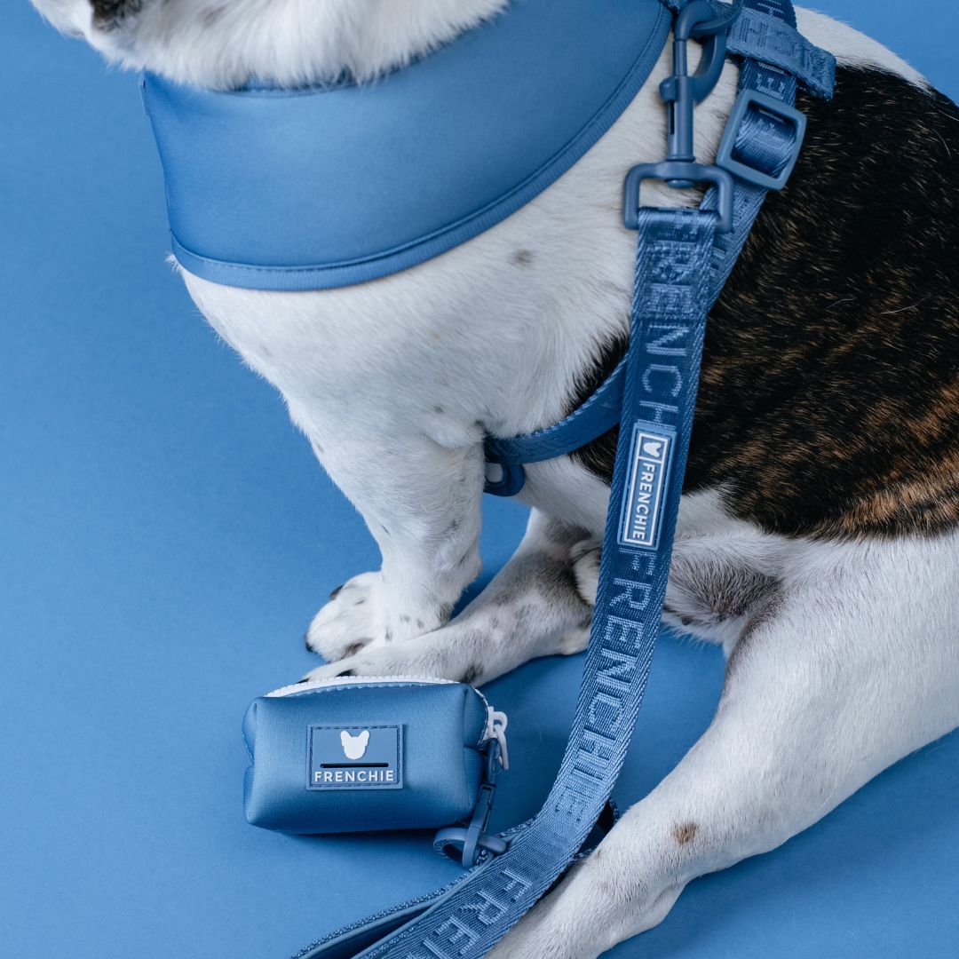 Frenchie Comfort Leash - Blue Steel