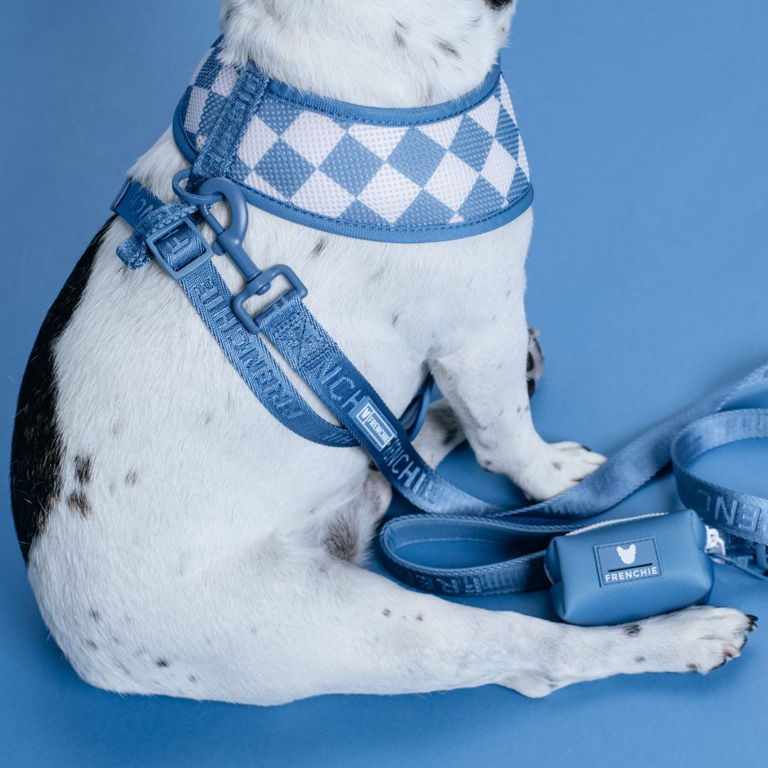 Frenchie Comfort Leash - Blue Steel