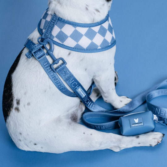 Frenchie Poo Bag Holder - Blue Steel