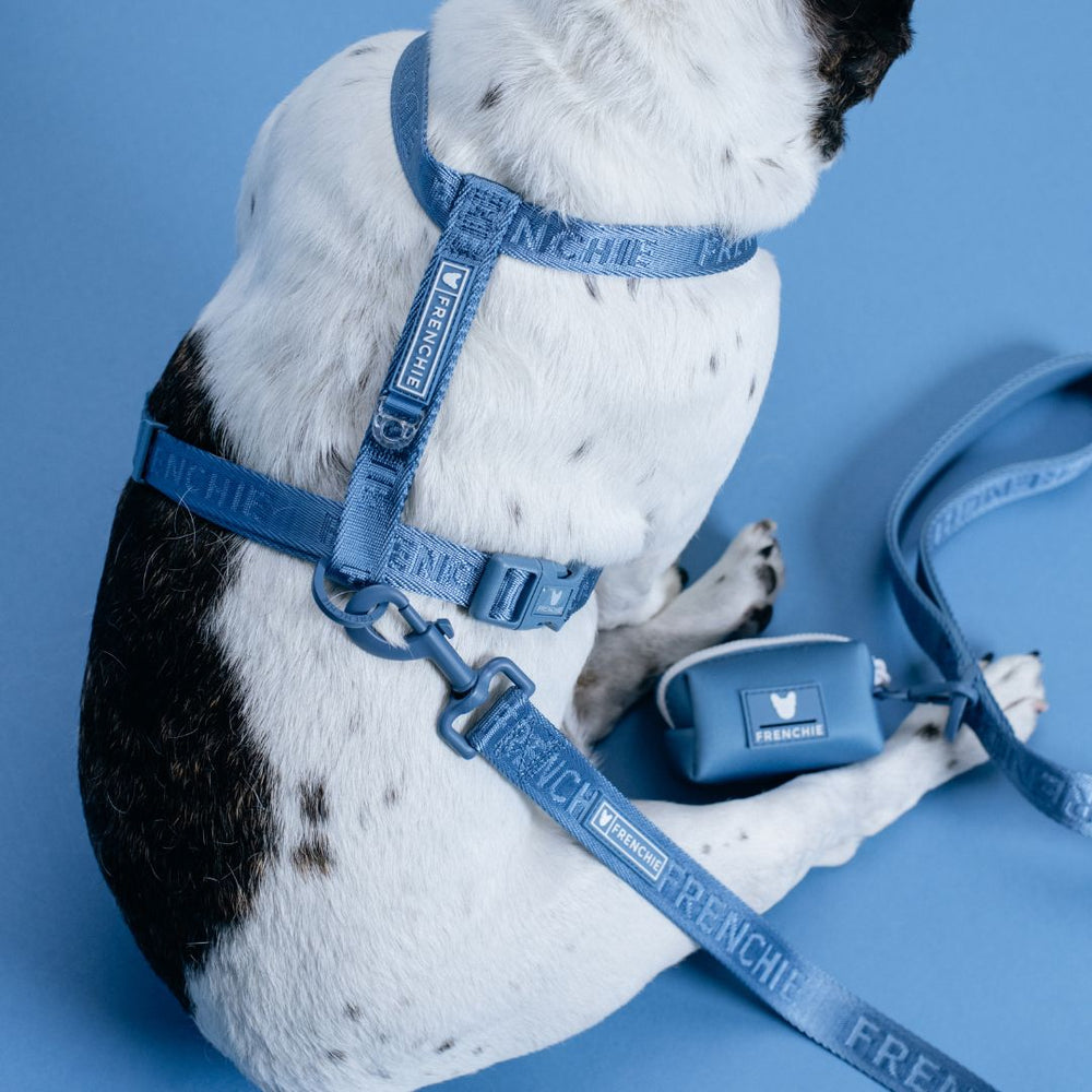 Frenchie Strap Harness - Blue Steel