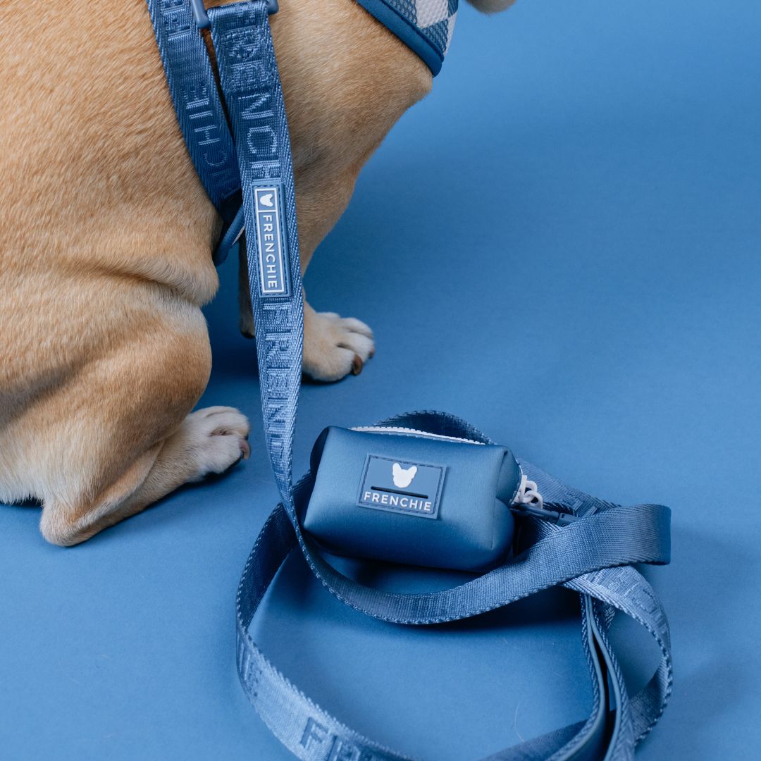 Frenchie Comfort Leash - Blue Steel