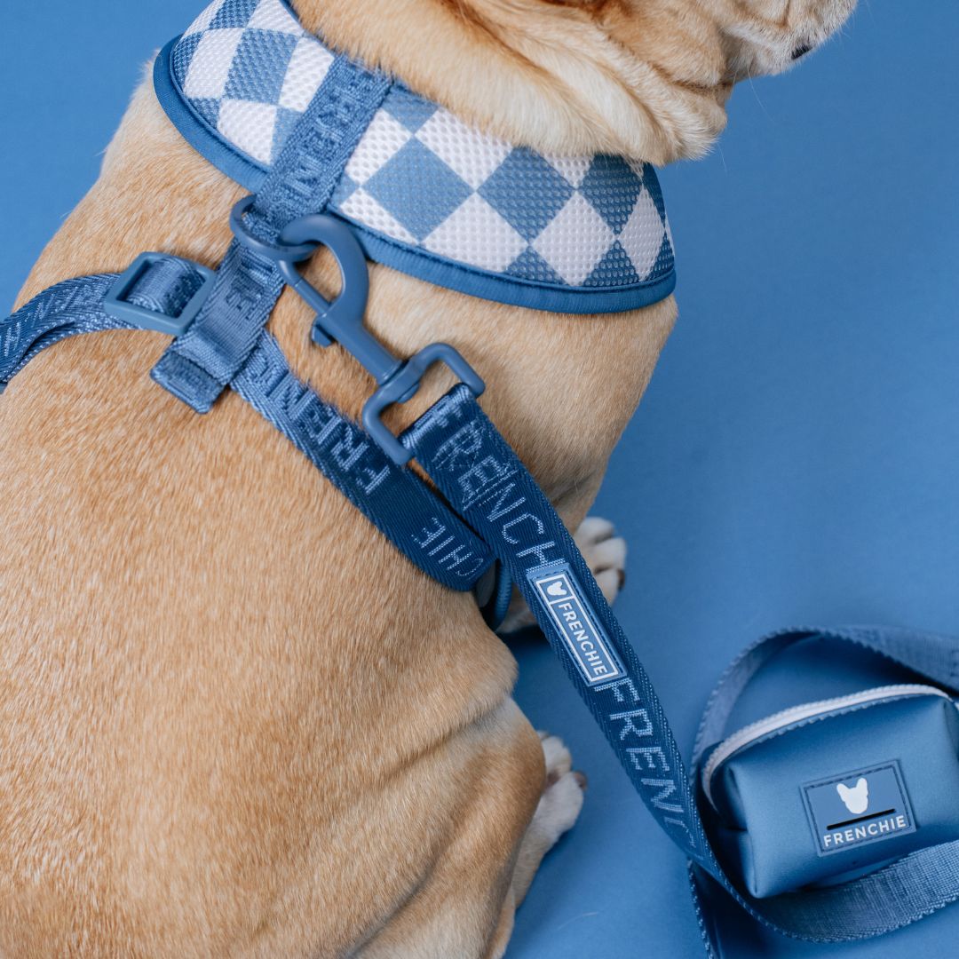 Frenchie Duo Reversible Harness - Blue Steel