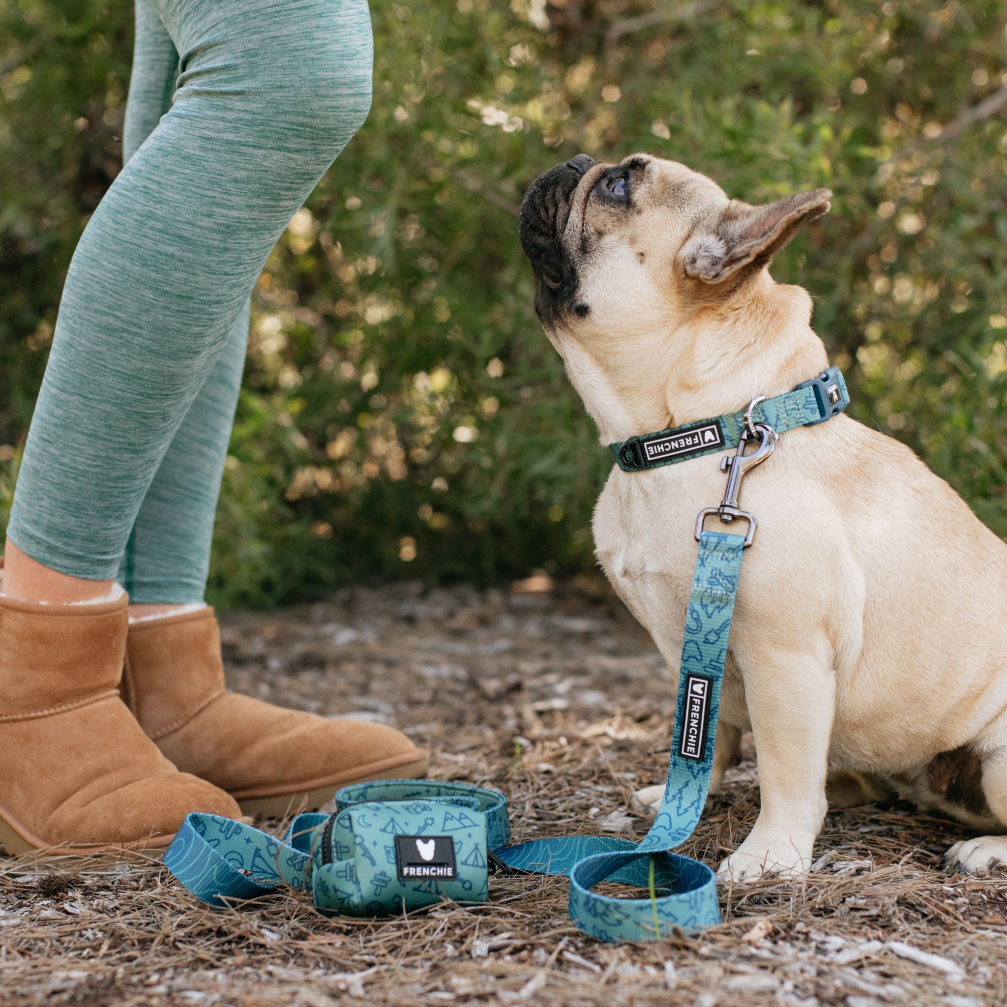 Camp hotsell dog collar