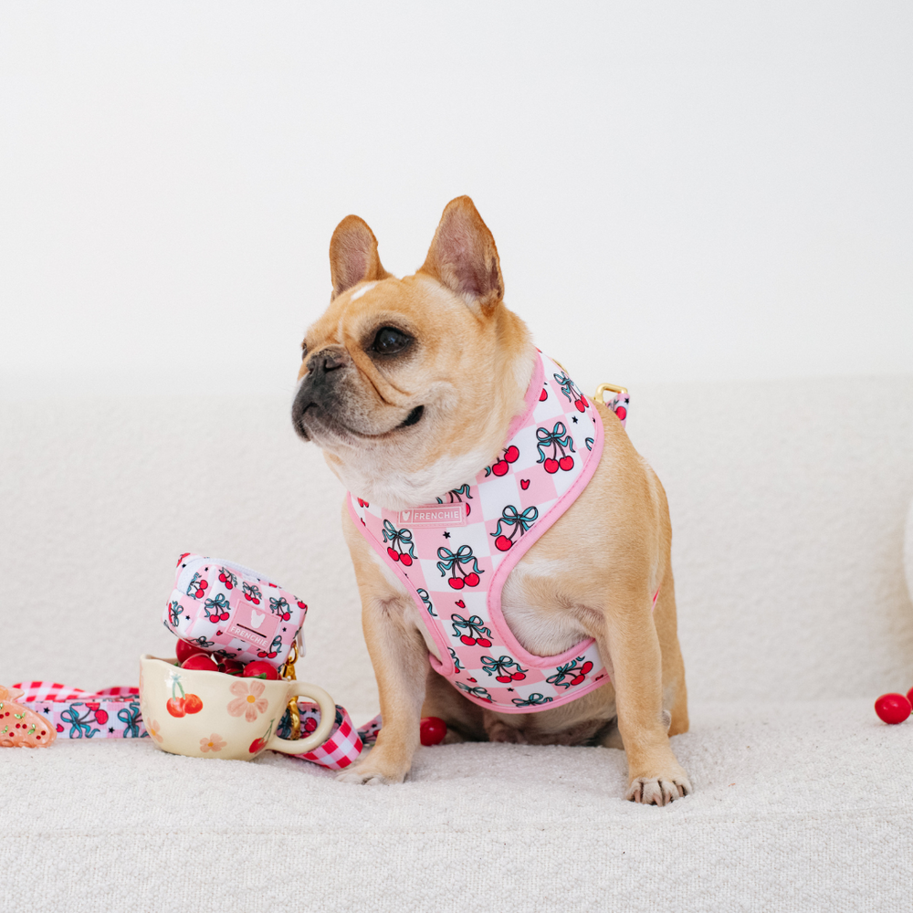 Frenchie Duo Reversible Harness - Cherries Red