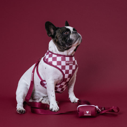 Frenchie Duo Reversible Harness - Ruby