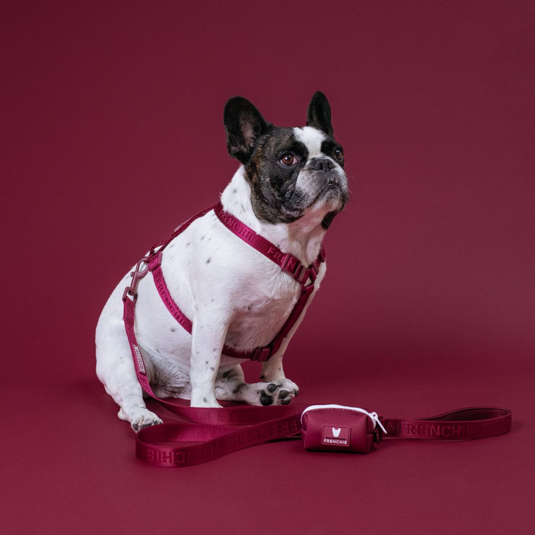 Frenchie Strap Harness - Ruby