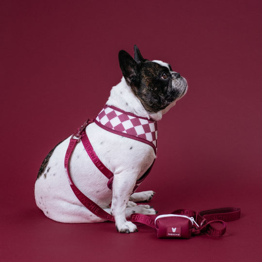 Frenchie Duo Reversible Harness - Ruby