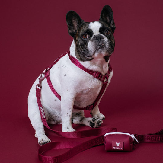 Frenchie Poo Bag Holder - Ruby