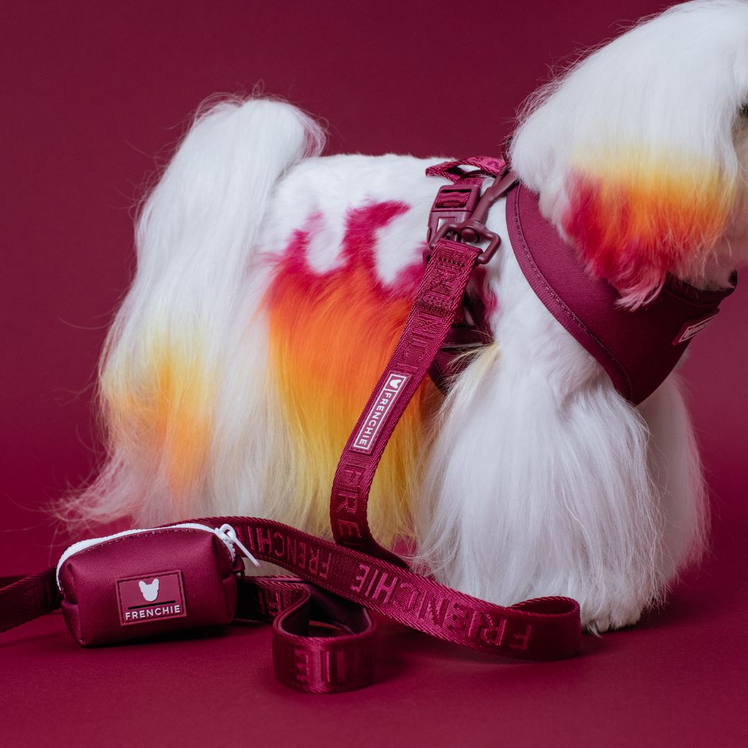 Frenchie Comfort Leash - Ruby