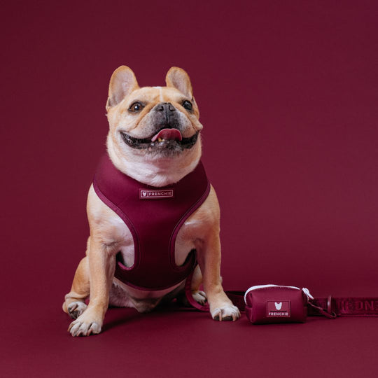 Frenchie Poo Bag Holder - Ruby