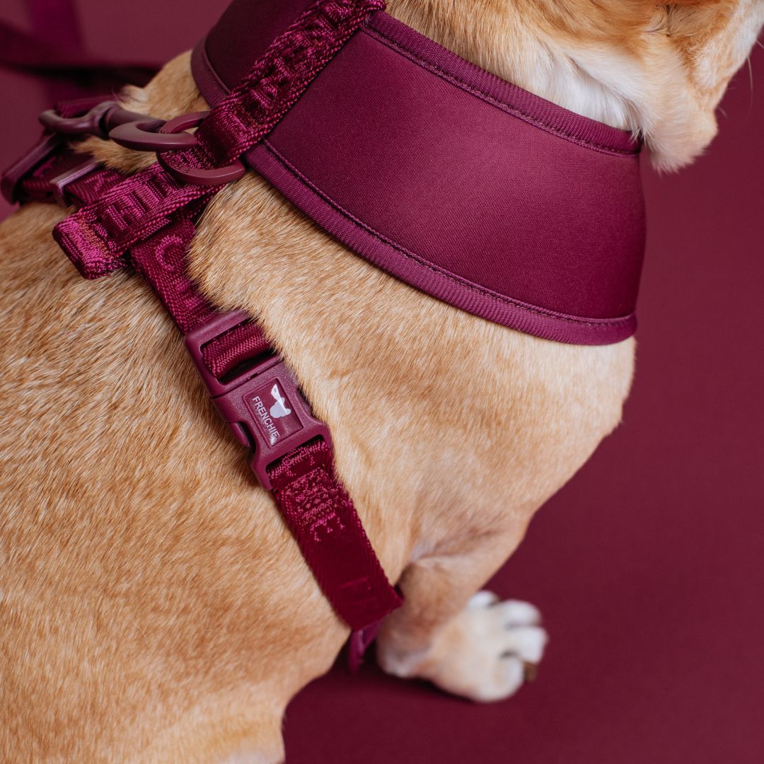 Frenchie Duo Reversible Harness - Ruby