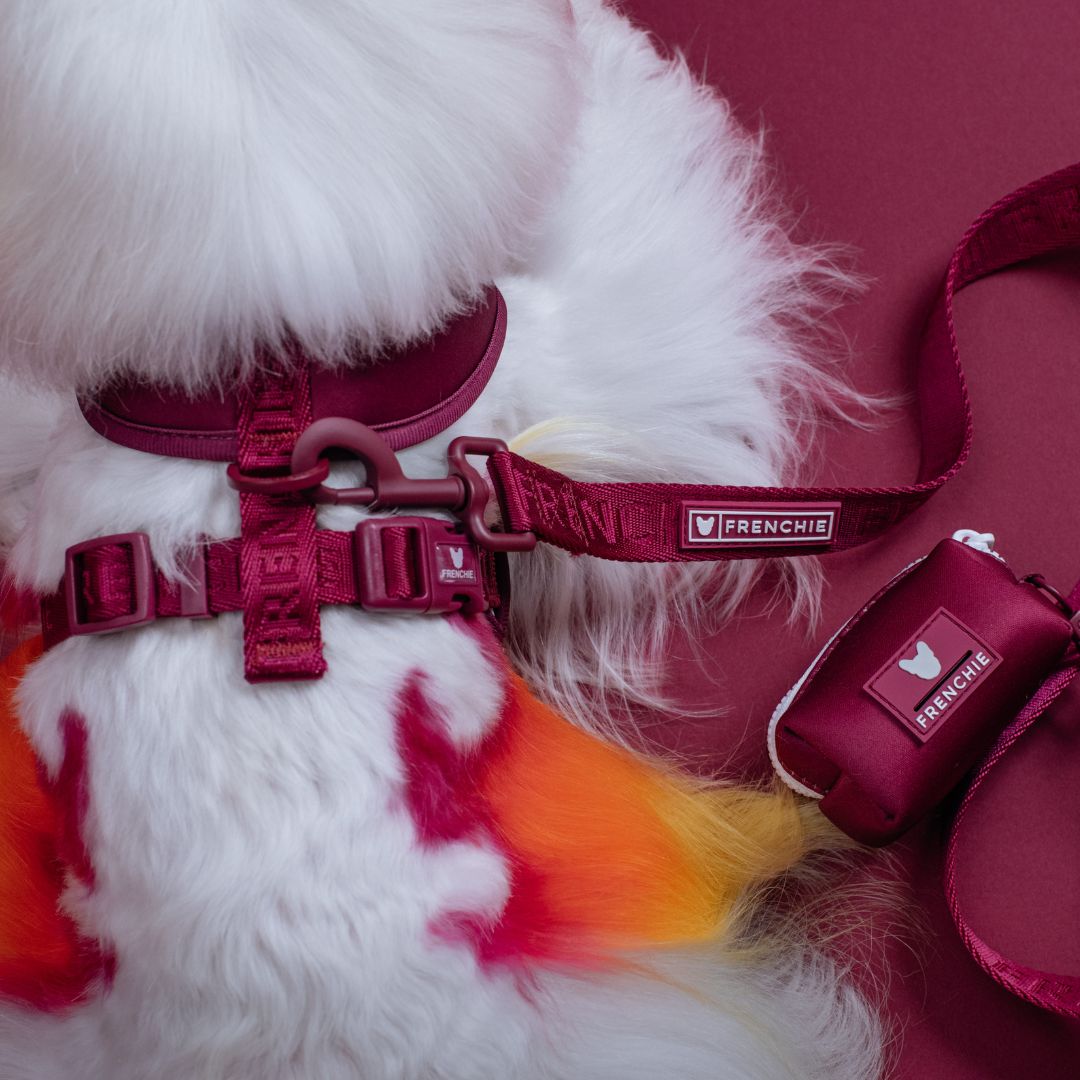 Frenchie Duo Reversible Harness - Ruby