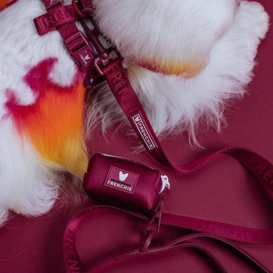 Frenchie Comfort Leash - Ruby