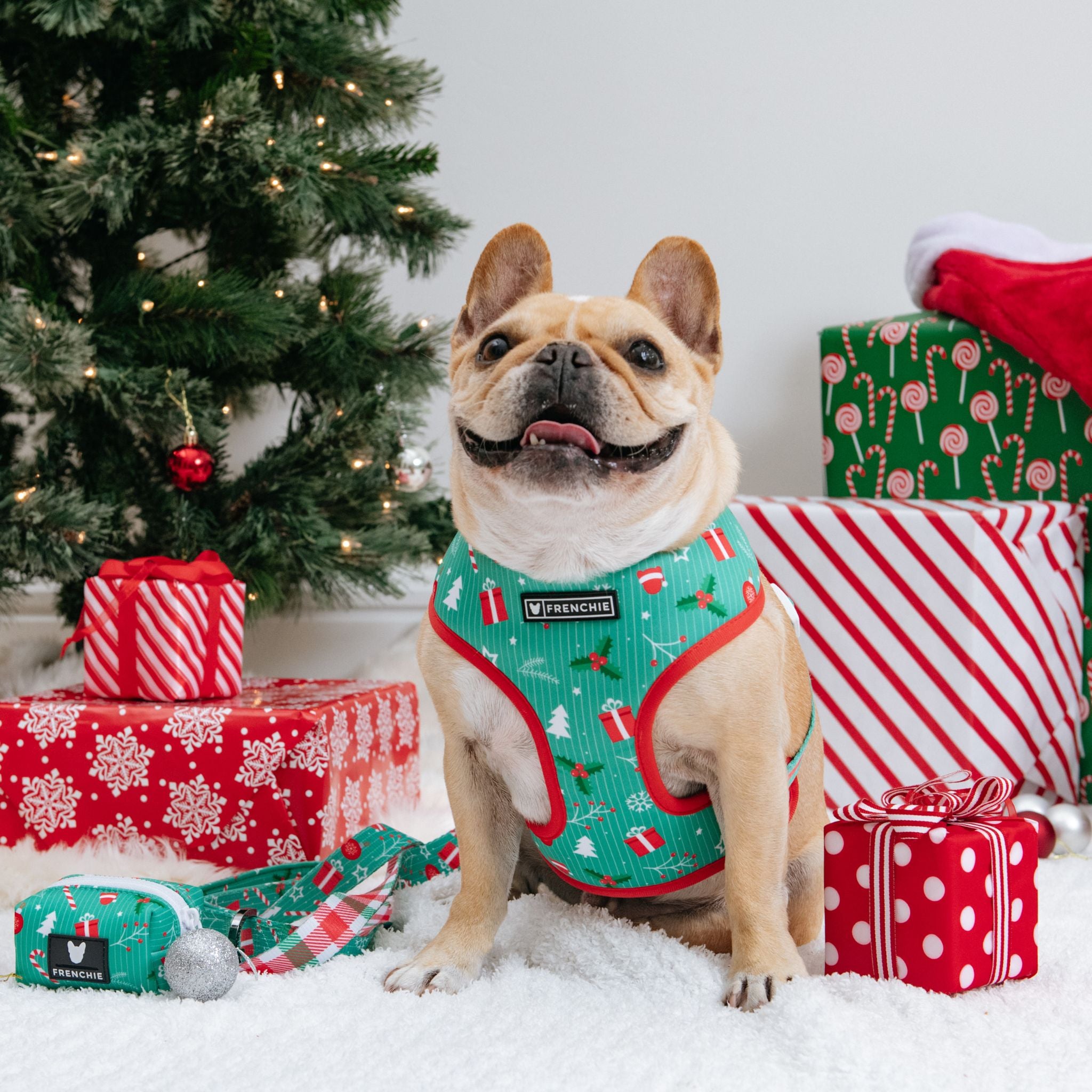 French bulldog christmas discount jumper