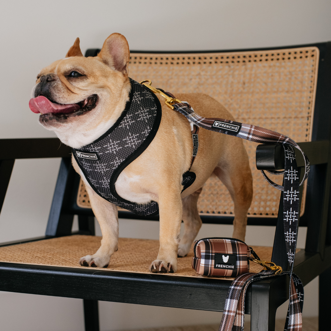 Frenchie Duo Reversible Harness - Cocoa Plaid