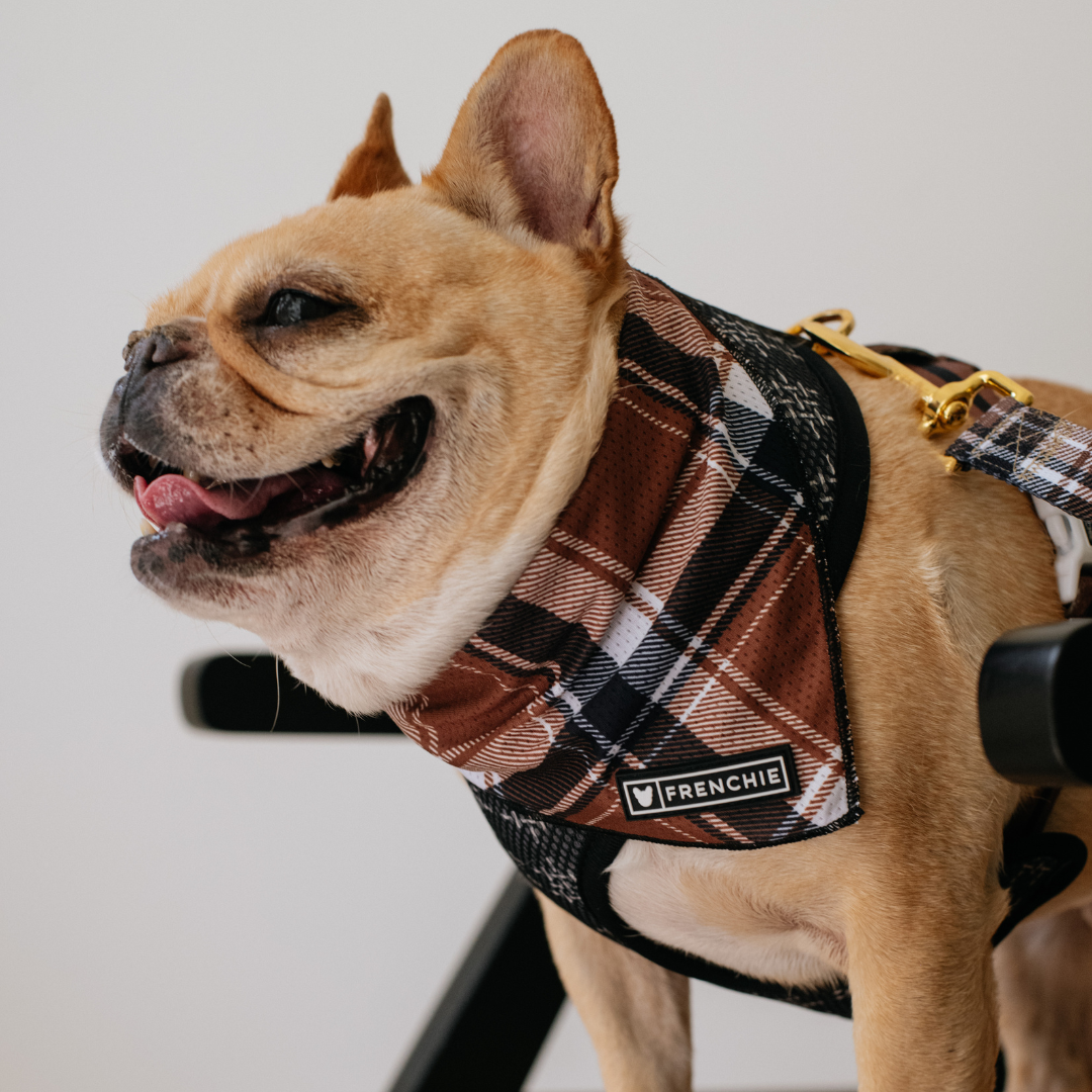 Frenchie Cooling Bandana - Cocoa Plaid