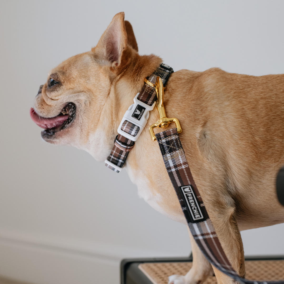 Frenchie Comfort Collar - Cocoa Plaid