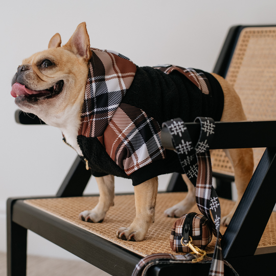 Frenchie Dog Hoodie - Cocoa Plaid