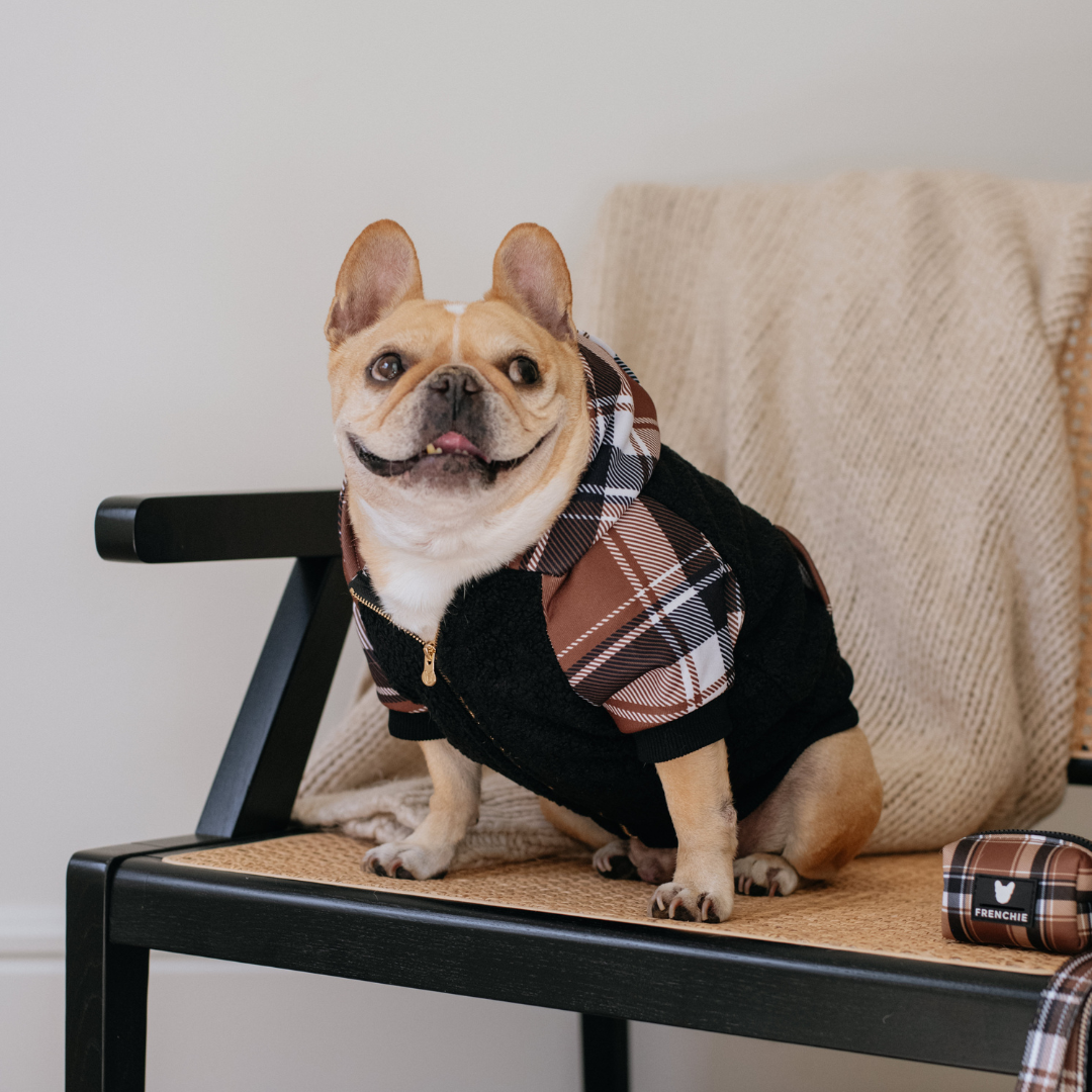 Frenchie Dog Hoodie - Cocoa Plaid