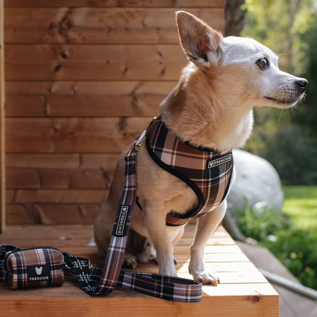 Frenchie Duo Reversible Harness - Cocoa Plaid