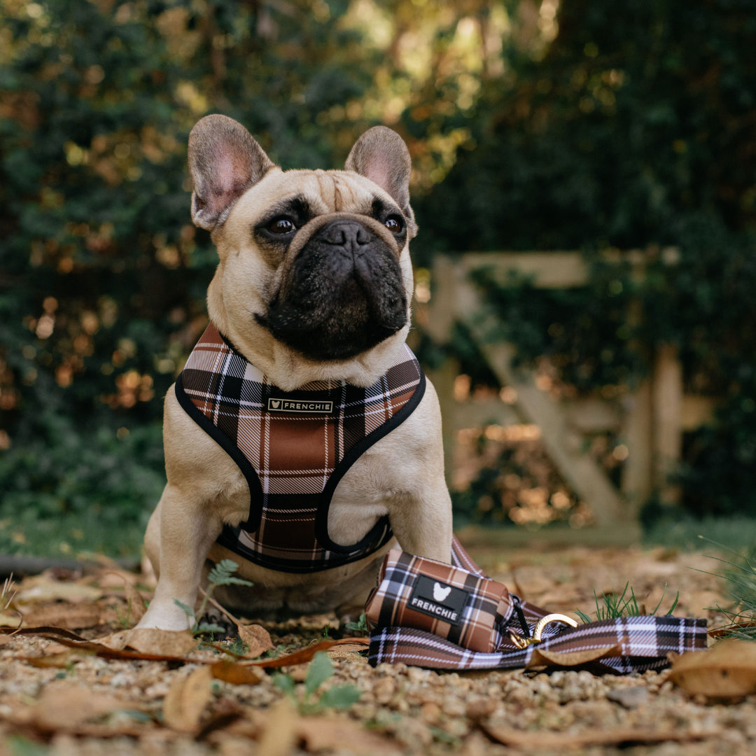 Frenchie Duo Reversible Harness - Cocoa Plaid