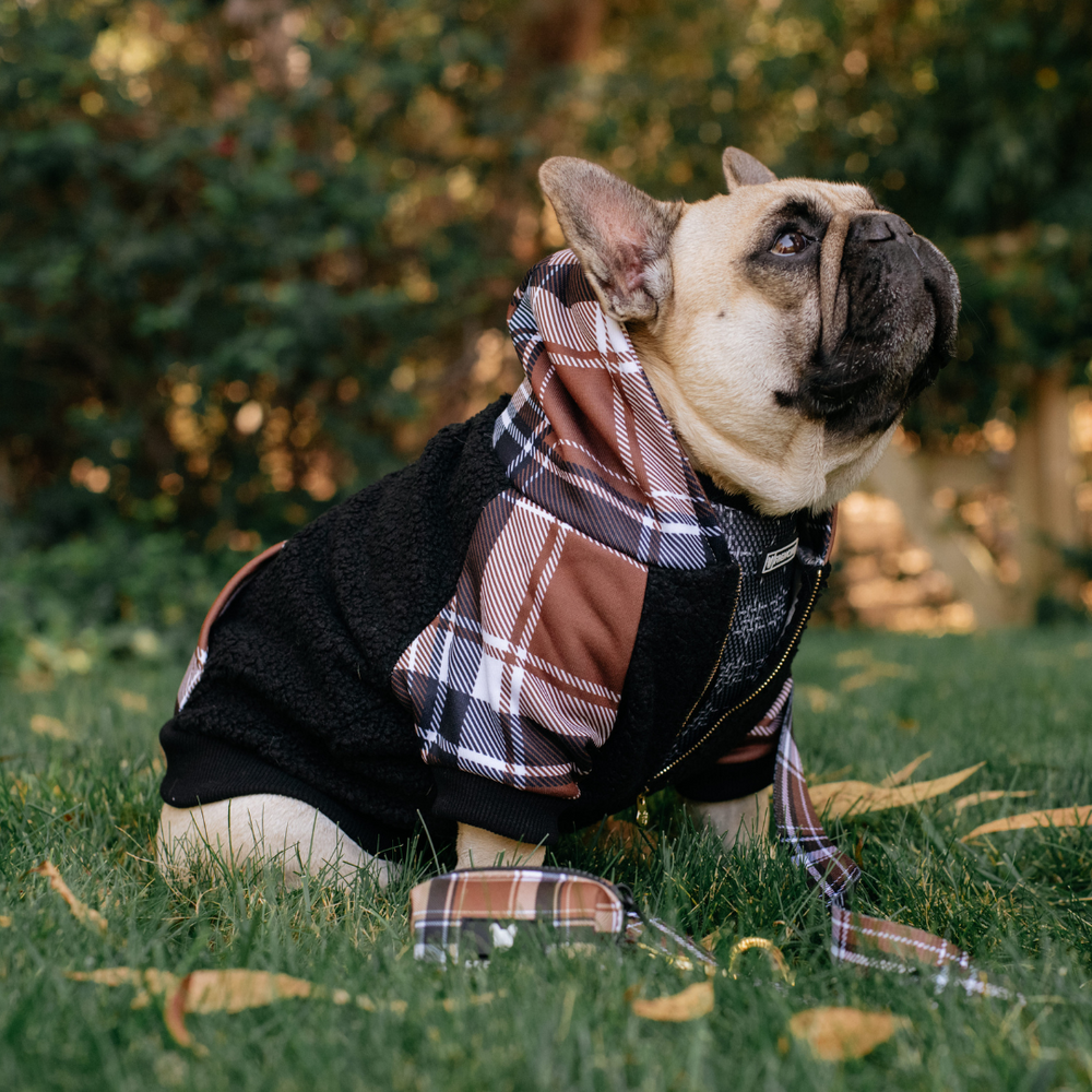 Frenchie Dog Hoodie - Cocoa Plaid