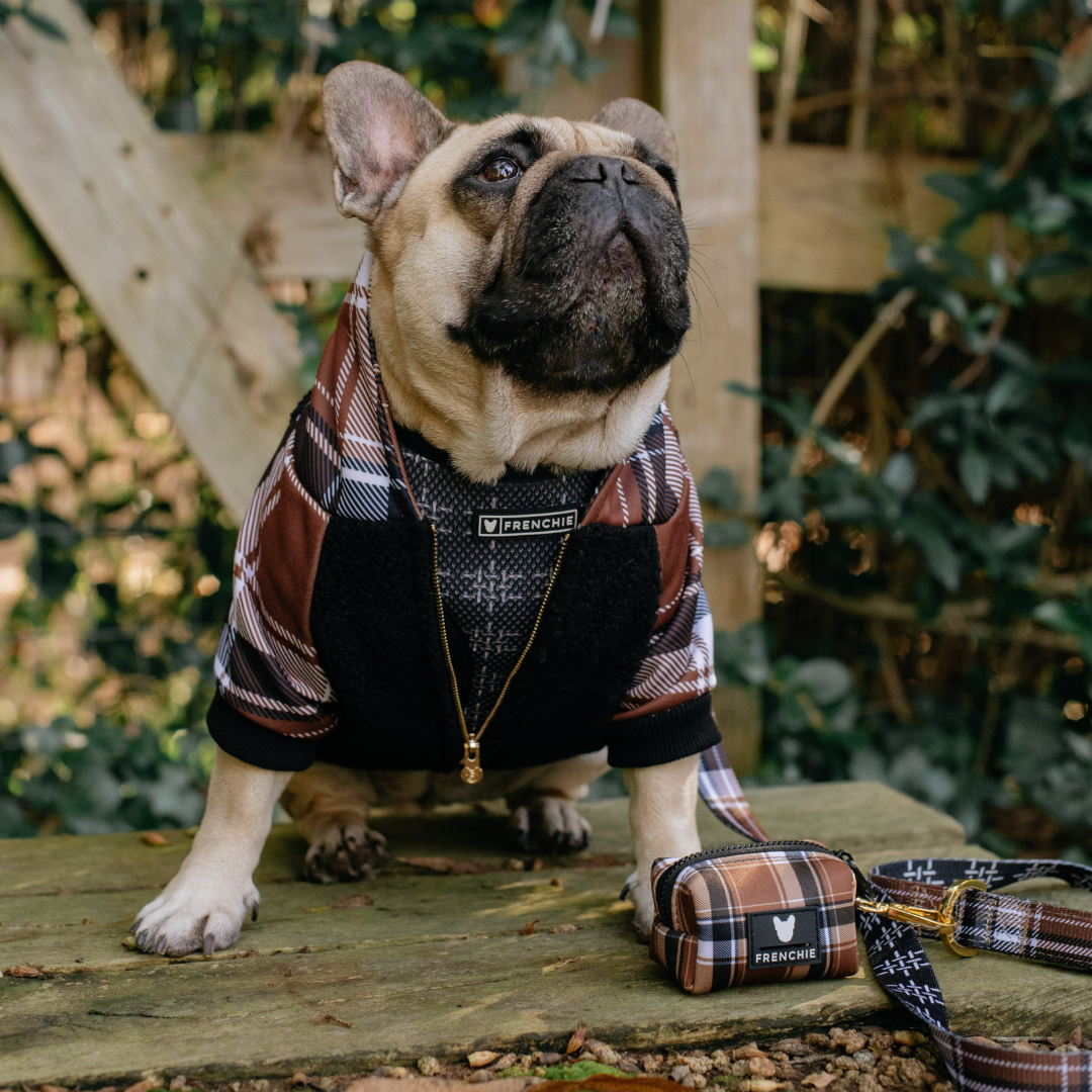 Frenchie Dog Hoodie - Cocoa Plaid