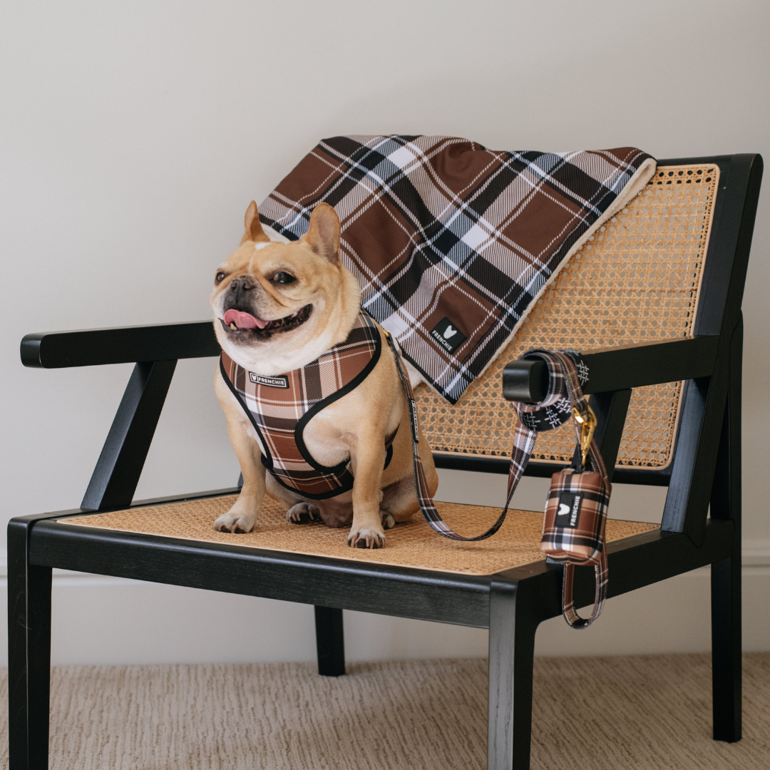 Frenchie Duo Reversible Harness - Cocoa Plaid