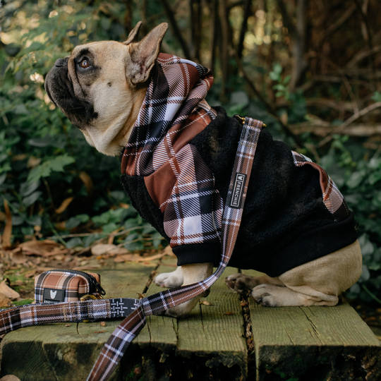 Frenchie Comfort Leash - Cocoa Plaid